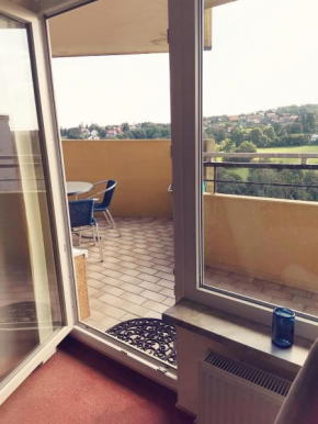 Ferienwohnung Harz Hohegeiß App 569